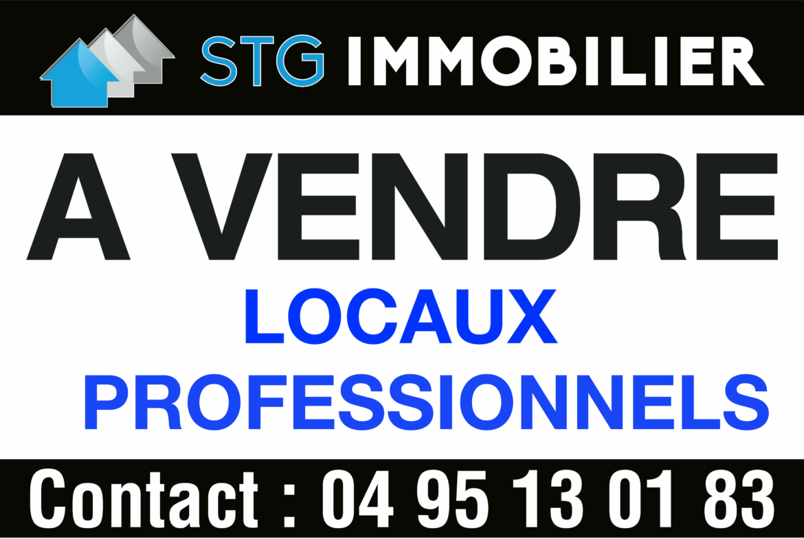 locaux professionels à vendre baleone sarrola