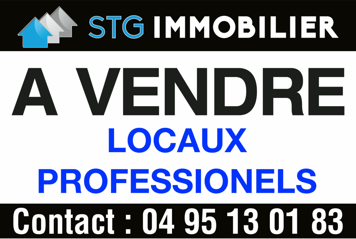 locaux professionels à vendre baleone sarrola