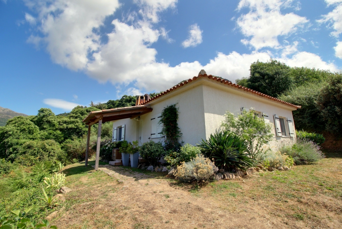 location ajaccio