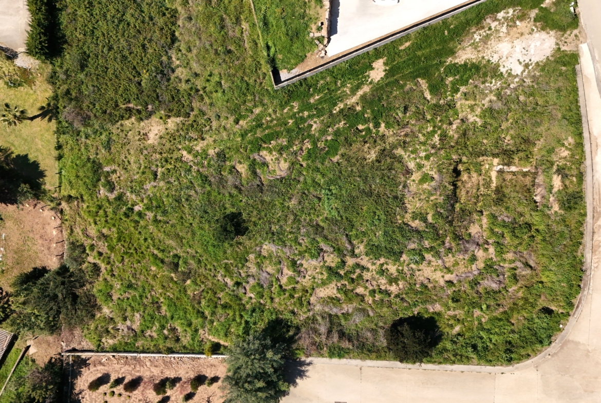 DJI_20260327105216_0016_D