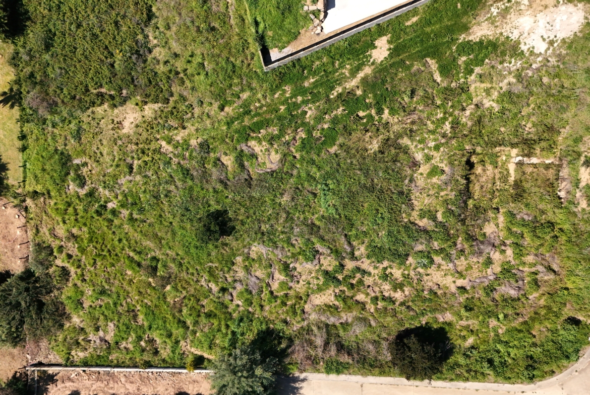 DJI_20260327105238_0017_D