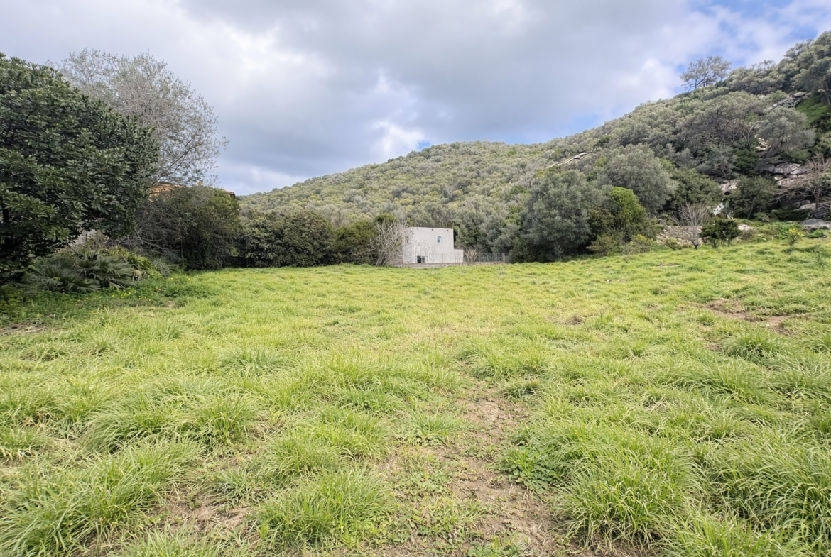 Projetdevente-projetd'achat