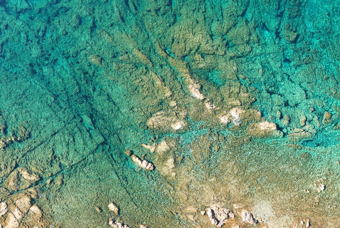 DJI_20260407160329_0033_D