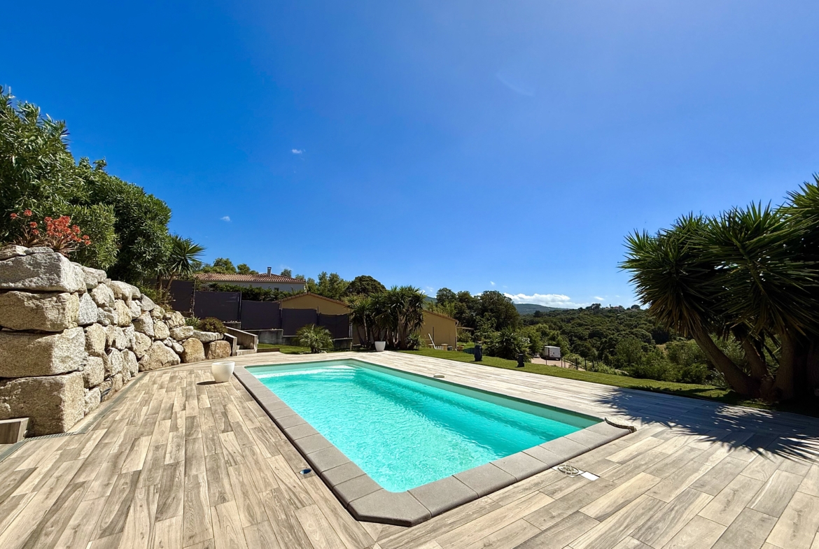 IMG_4491
