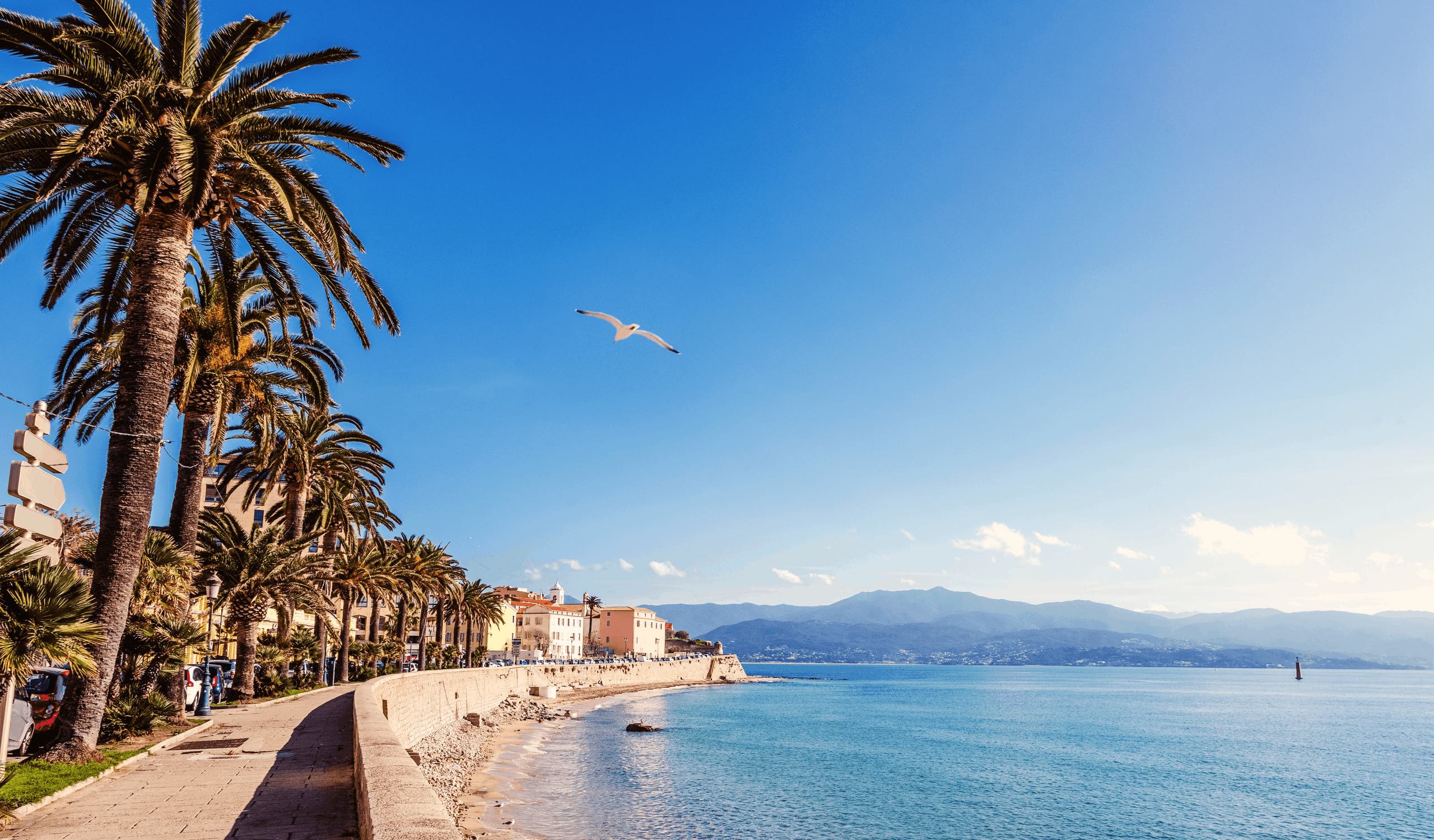 STG Immobilier Ajaccio