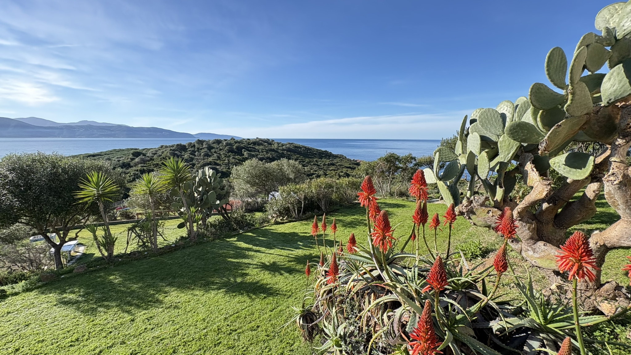 Vente Villa Sagone