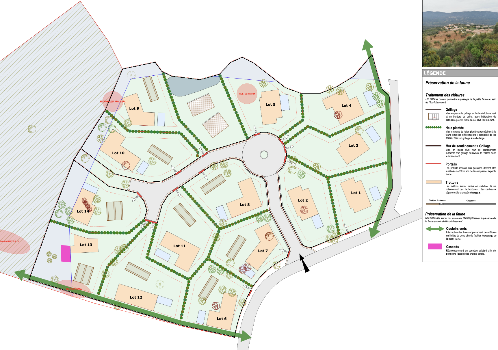 EXCLUSIVITÉ – Vente terrain à bâtir à Tiuccia