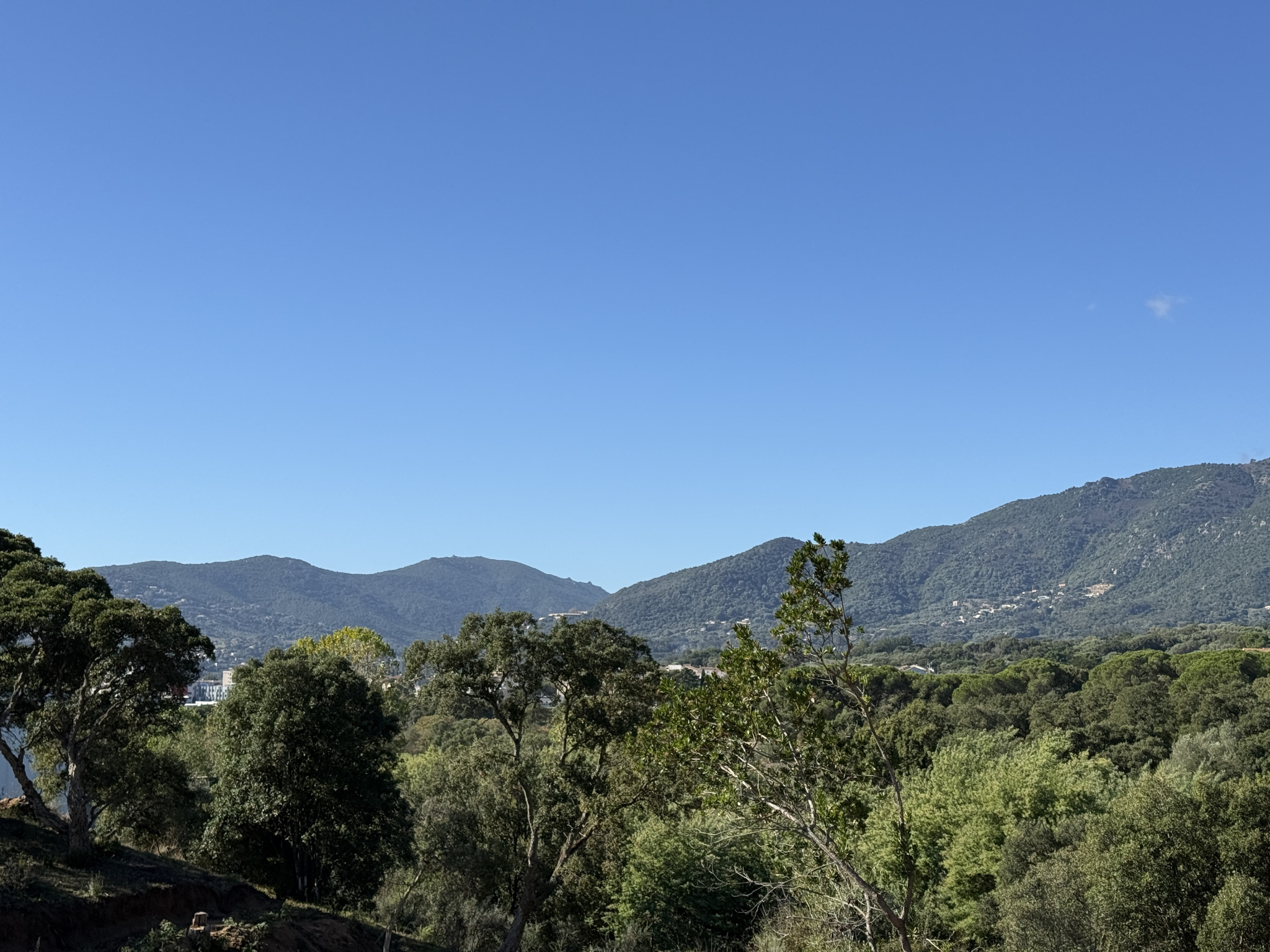 Vente appartement T3 Suartello