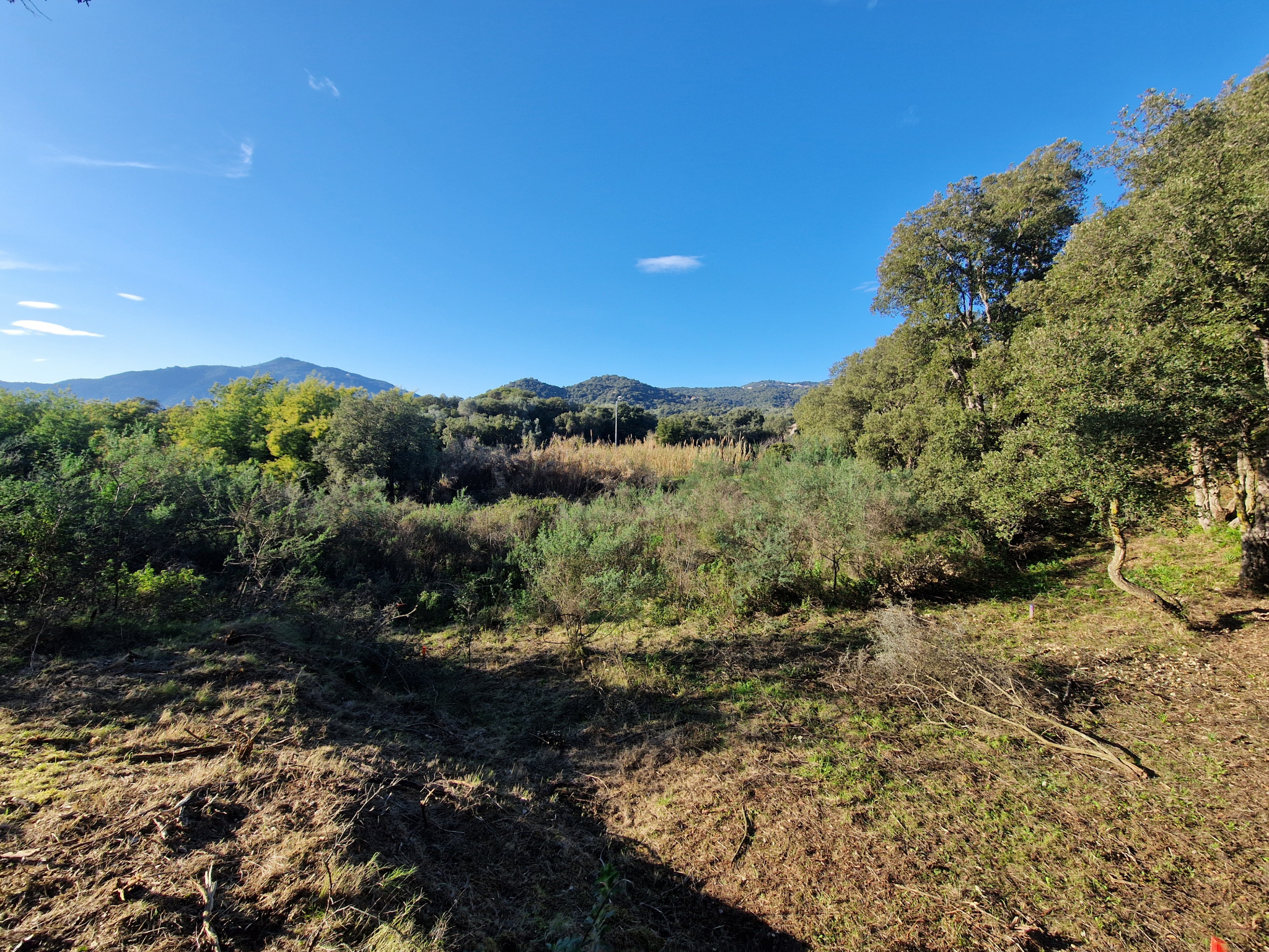VENTE T2 SUARTELLO AJACCIO