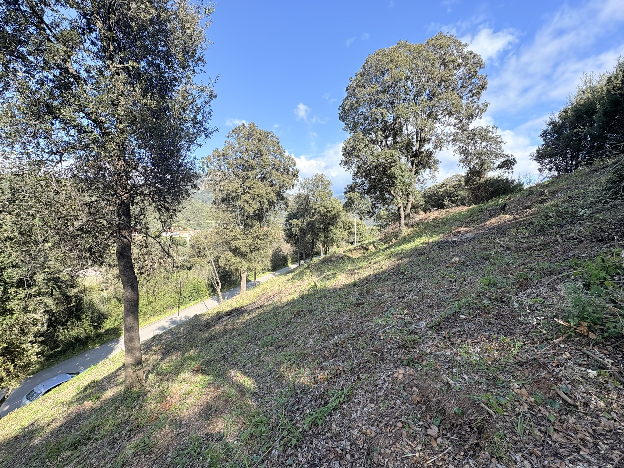 Vente Terrain Casaglione