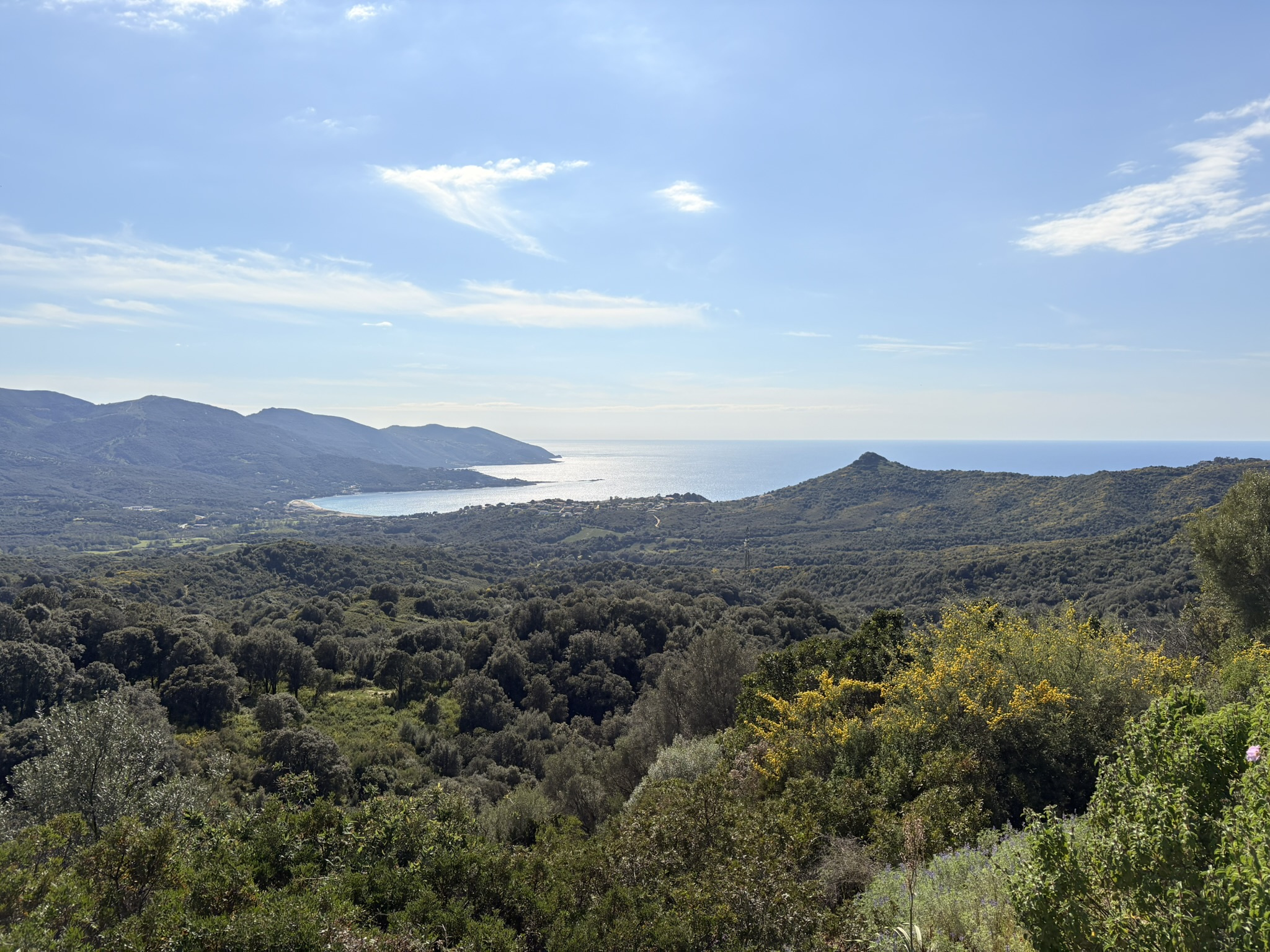 Vente Terrain Casaglione