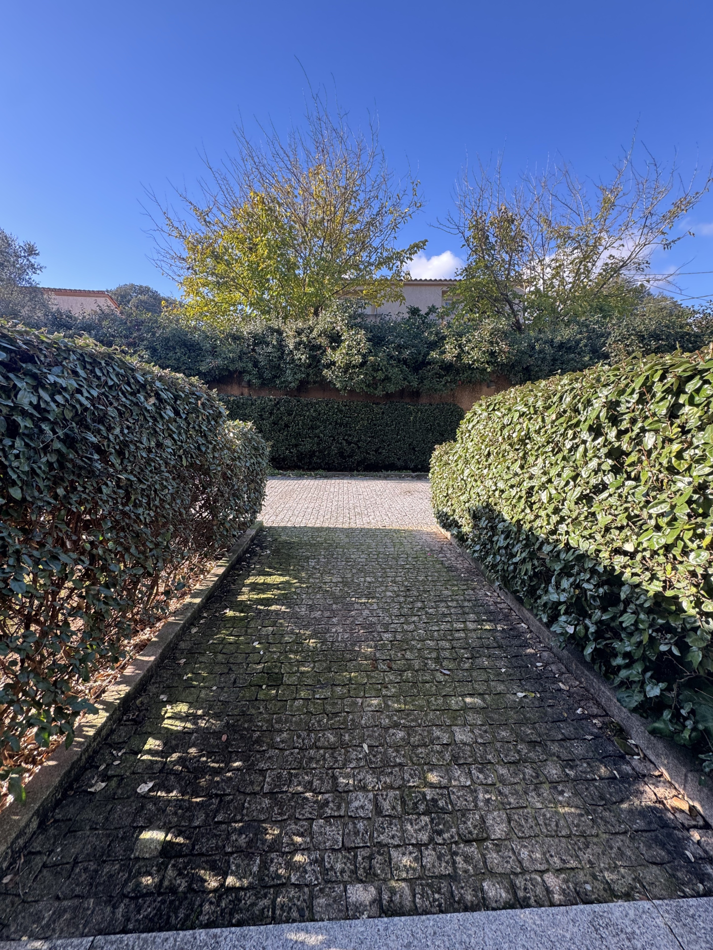 Appartement T2 à Ajaccio à vendre, terrasse 115 m² – photo 8 – STG Immobilier