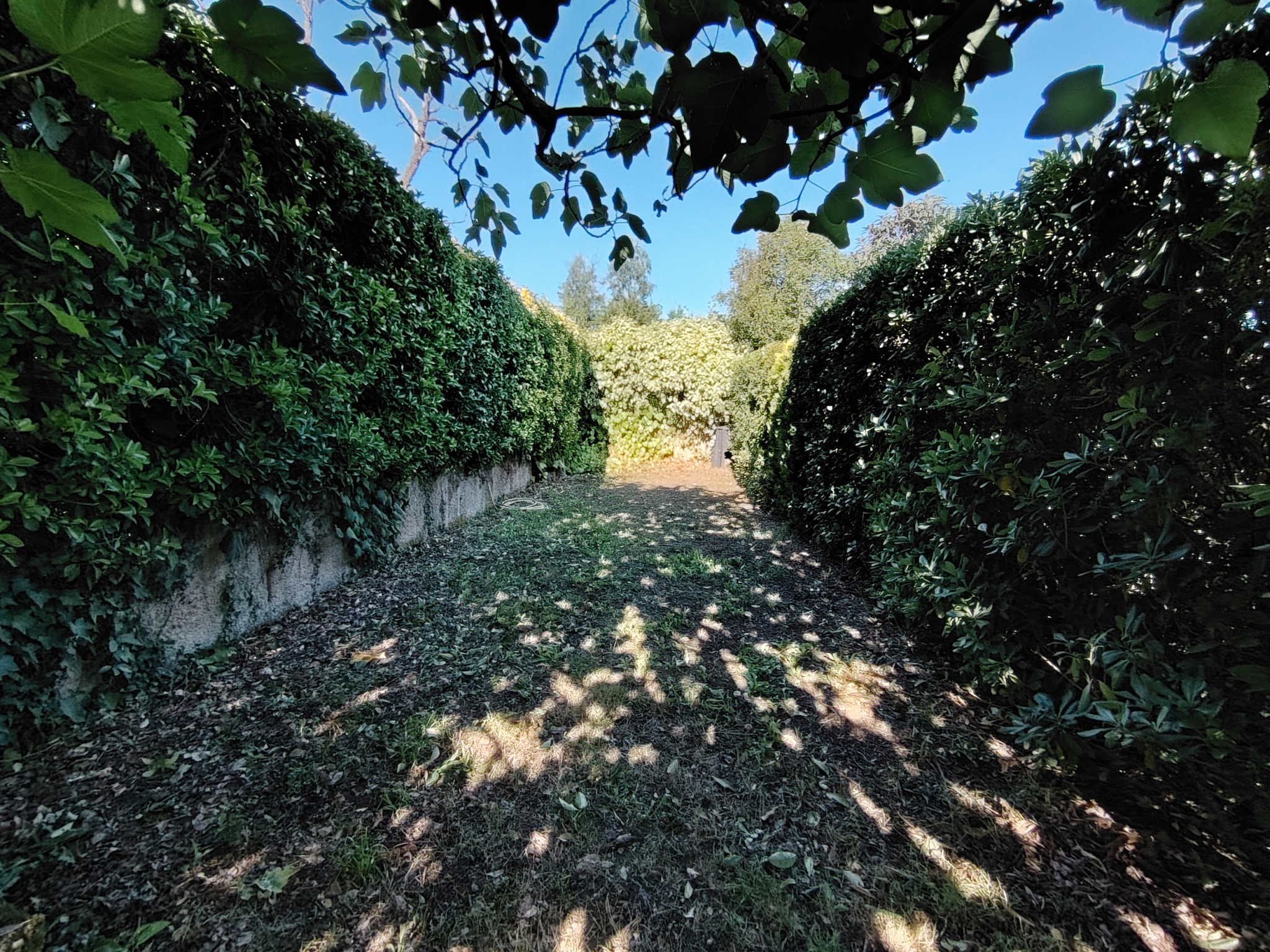 Vente maison ajaccio mezzavia