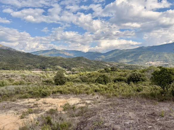 Terrain à bâtir à vendre à Tiuccia, viabilisé et piscinable – STG Immobilier