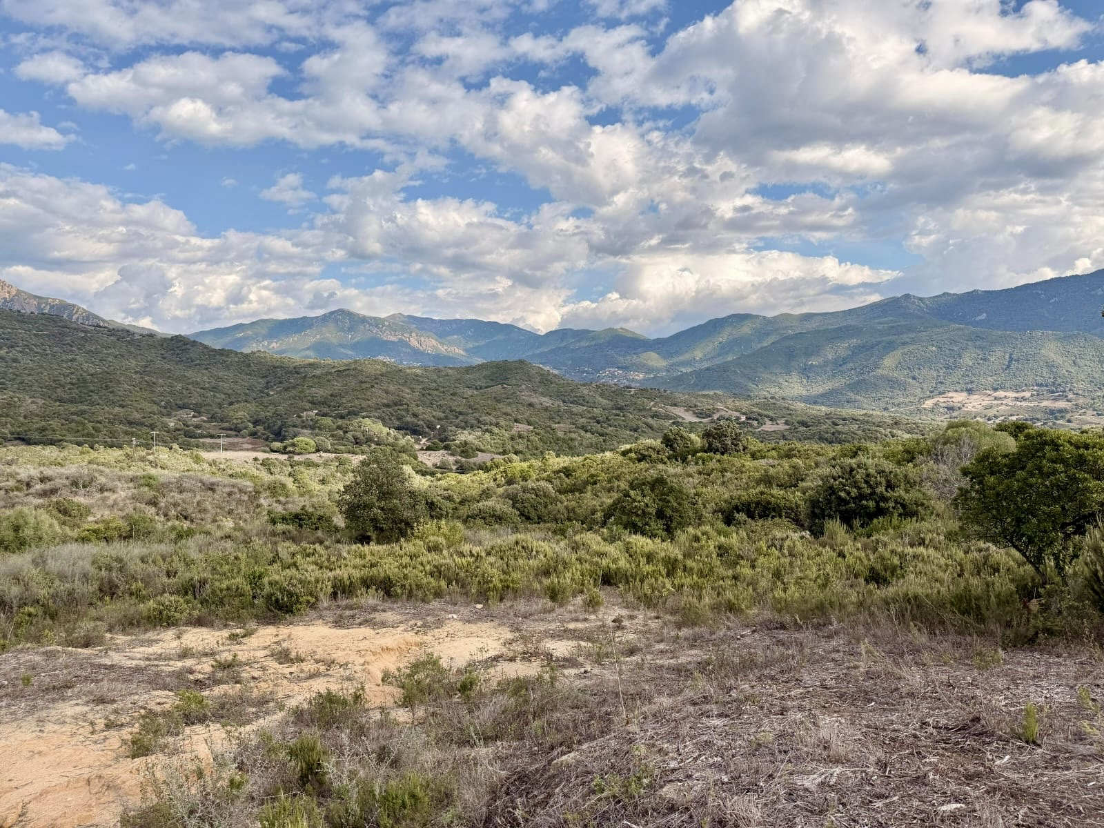 Terrain à bâtir à vendre à Tiuccia, viabilisé et piscinable – STG Immobilier