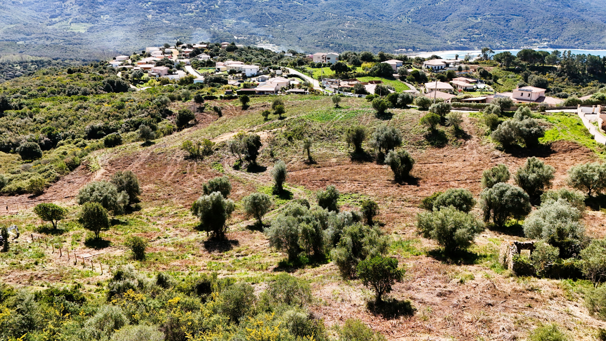 Terrain à bâtir à Tiuccia à vendre – photo 8 – STG Immobilier