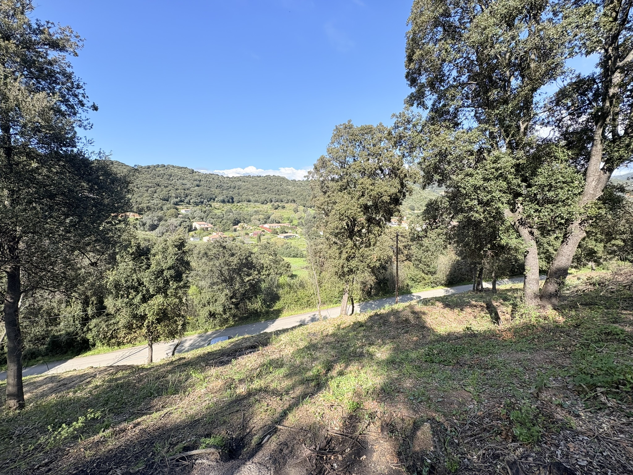 Terrain constructible à Casaglione à vendre – photo 2 – STG Immobilier