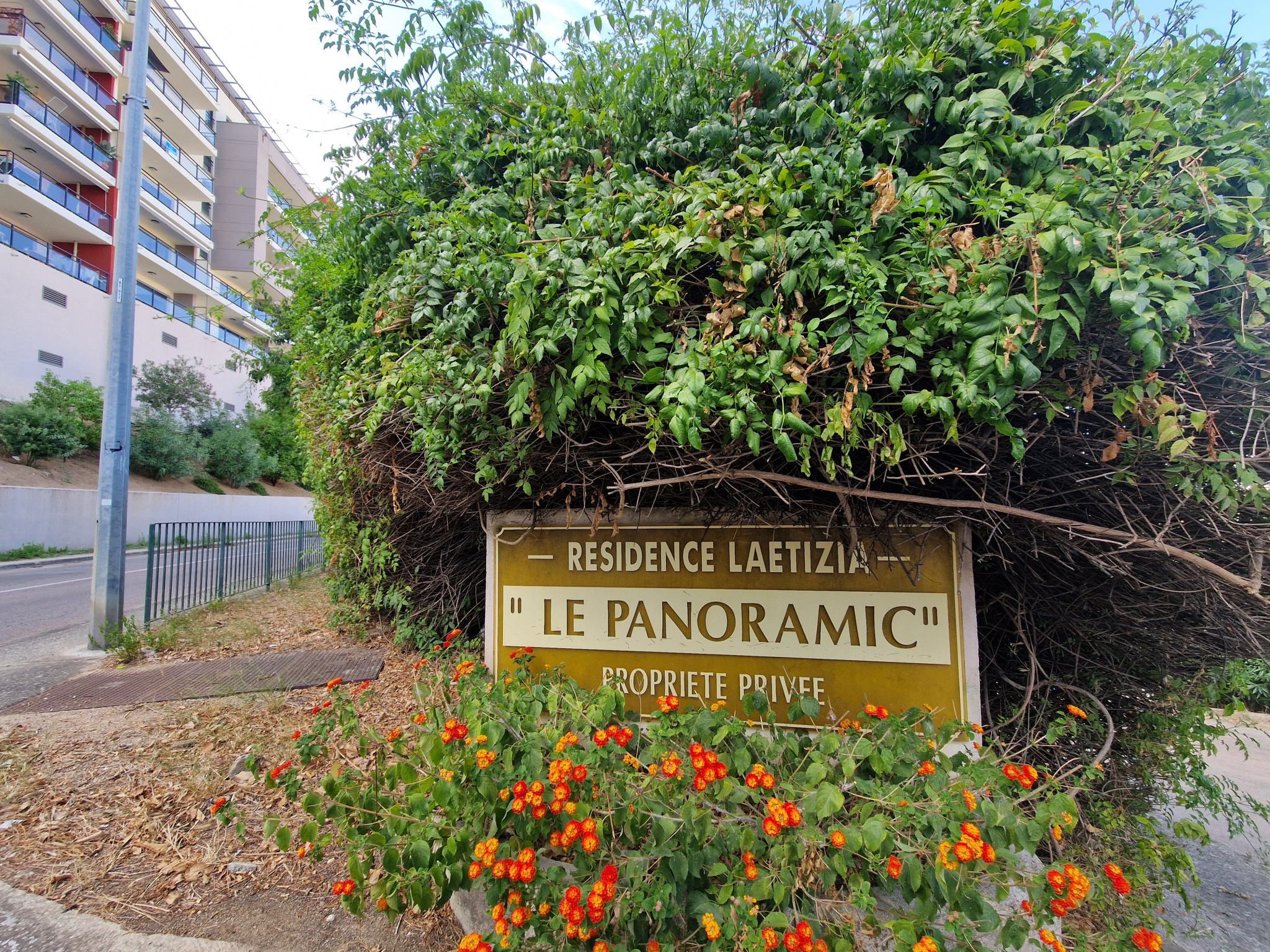 Vente appartement F1 Salario Ajaccio