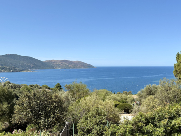 VENTE T2 VUE MER TIUCCIA