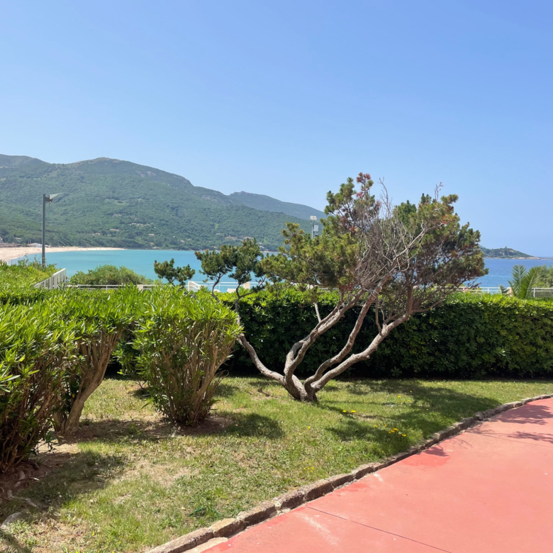 780