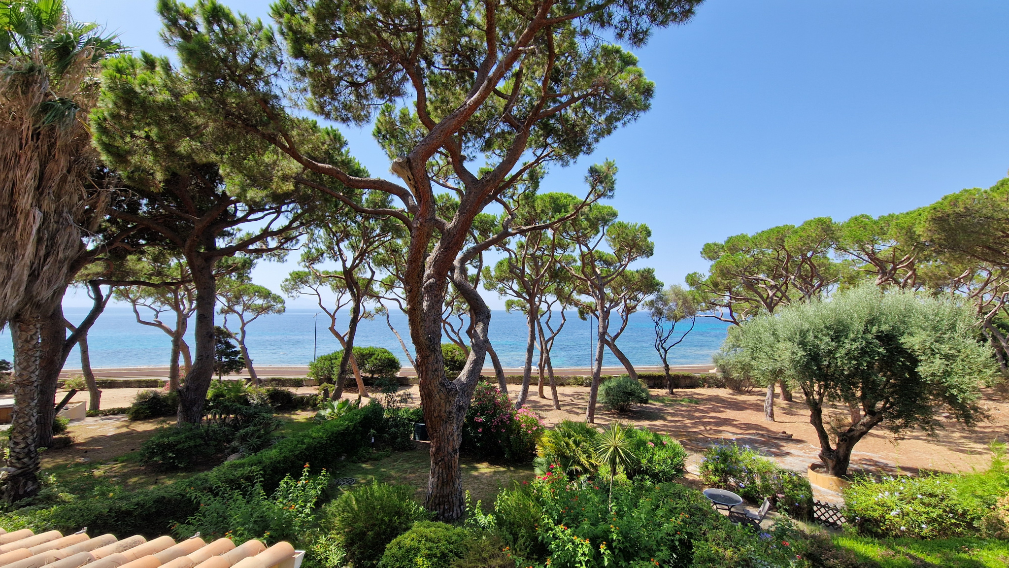 Vente appartement F3 sanguinaire la Pinède ajaccio