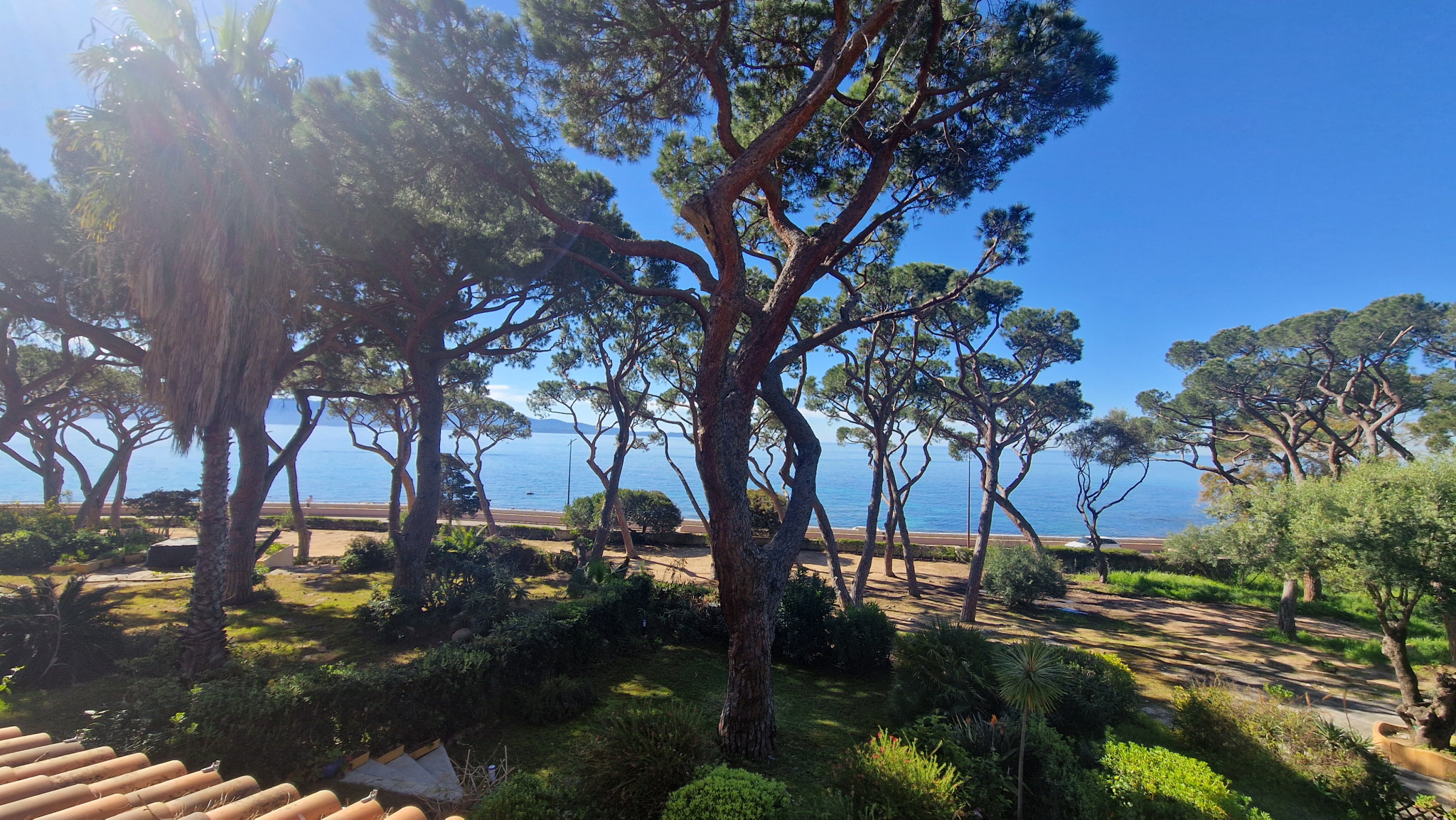 Exclusivité vente appartement F3 résidence la Pinède