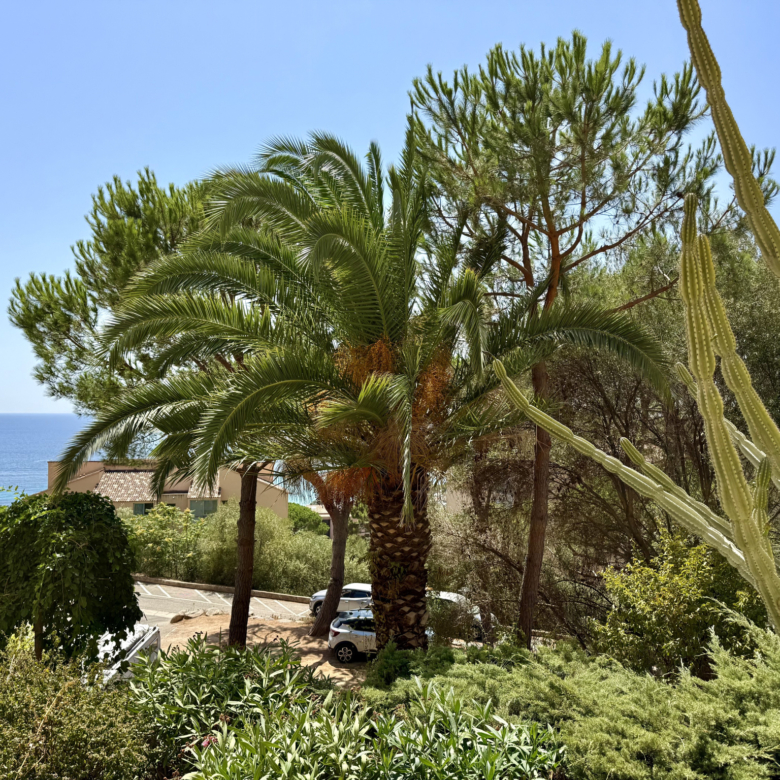 Exclusivité vente appartement T2 route des Sanguinaires Sant