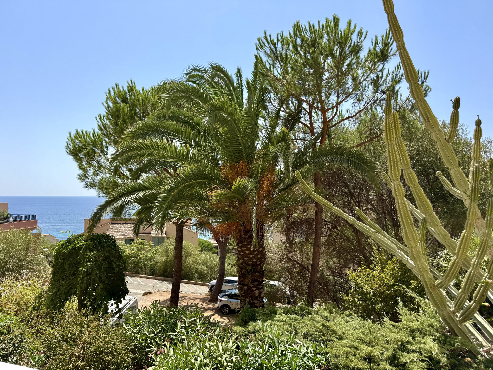 Exclusivité vente appartement T2 route des Sanguinaires Sant